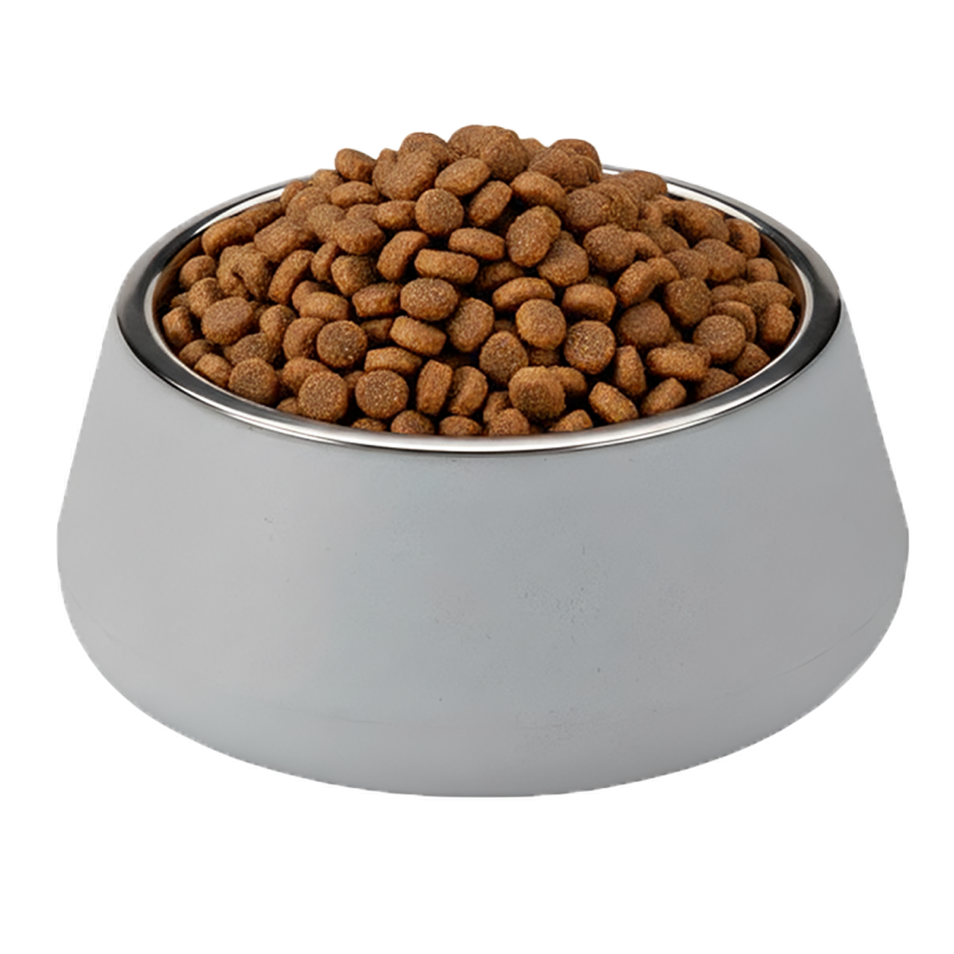 Slanted Bowl for Dogs and Cats