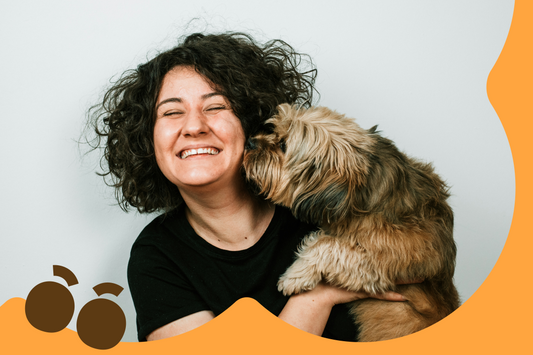 Fun Activities to Do with Your Pet
