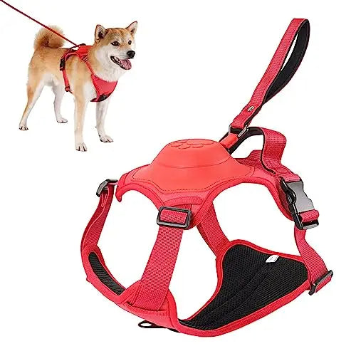 The smart dog harness 2.0