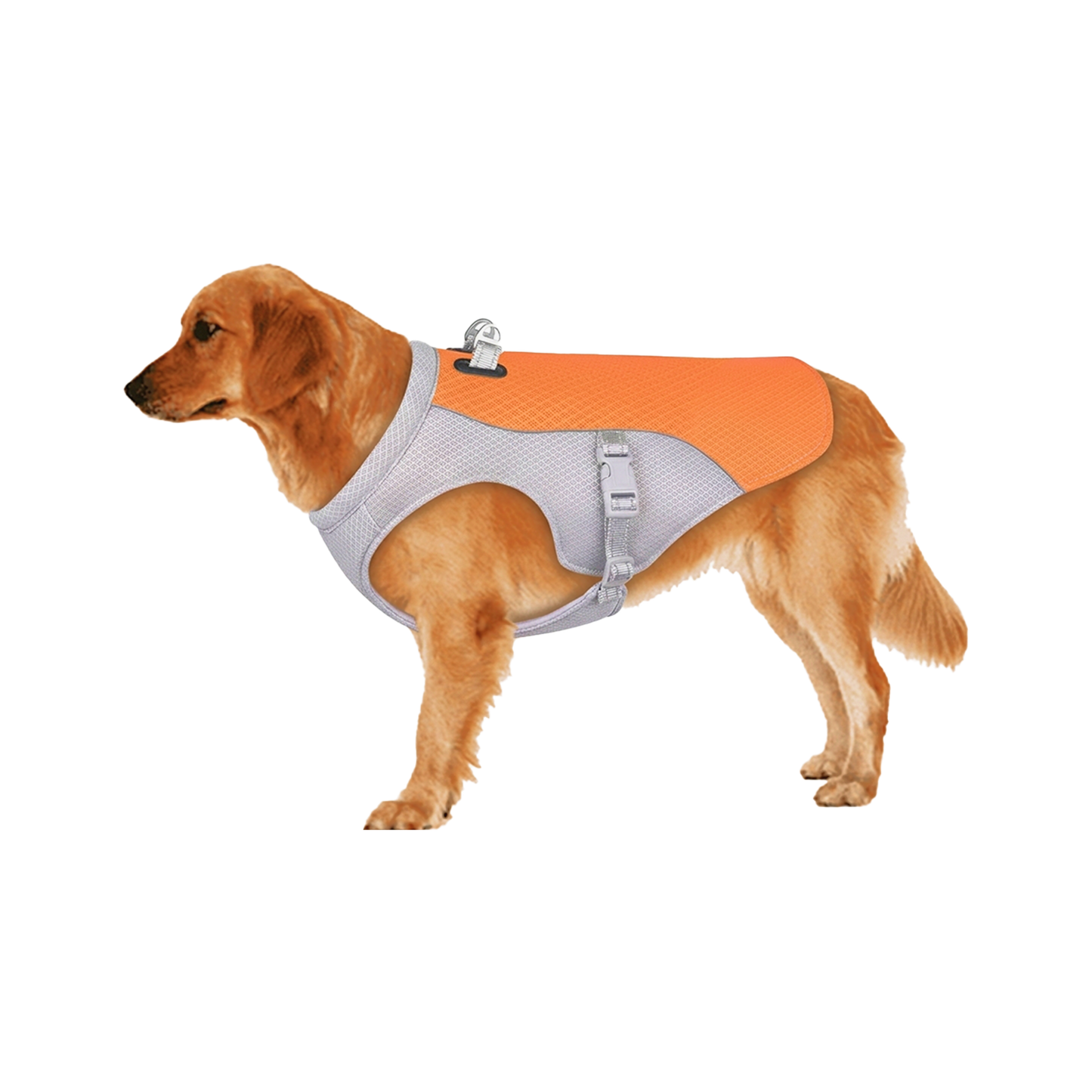 Dog Cooling Vest