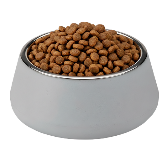 Slanted Bowl for Dogs and Cats